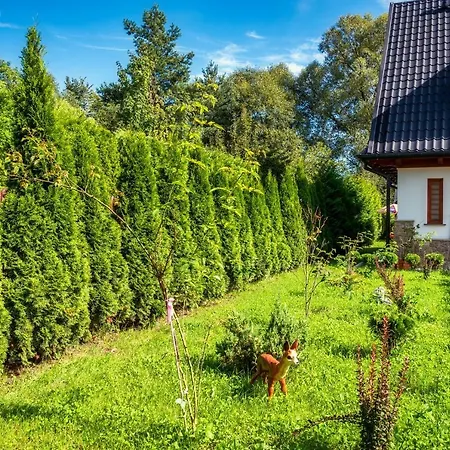 U Eli Czarny Dunajec